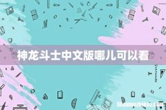 神龙斗士中文版哪儿可以看