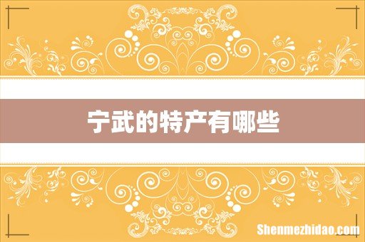 宁武的特产有哪些