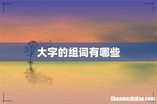大字的组词有哪些