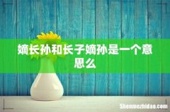 嫡长孙和长子嫡孙是一个意思么