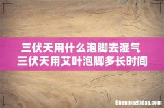三伏天用什么泡脚去湿气 三伏天用艾叶泡脚多长时间泡一次最好