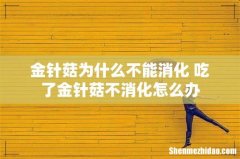 金针菇为什么不能消化 吃了金针菇不消化怎么办
