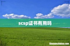 scsp证书有用吗