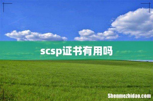scsp证书有用吗