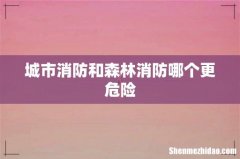 城市消防和森林消防哪个更危险