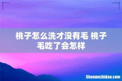 桃子怎么洗才没有毛 桃子毛吃了会怎样