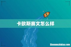 卡欧斯赛文怎么样