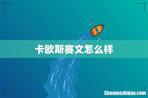 卡欧斯赛文怎么样