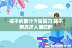 柿子的糖分含量高吗 柿子糖尿病人能吃吗