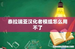 泰拉瑞亚汉化者模组怎么用不了