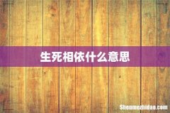 生死相依什么意思