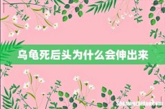 乌龟死后头为什么会伸出来