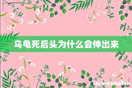 乌龟死后头为什么会伸出来