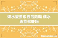 烧水壶煮东西危险吗 烧水壶能煮虾吗