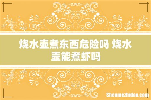 烧水壶煮东西危险吗 烧水壶能煮虾吗