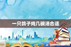 一只鸽子炖几碗汤合适