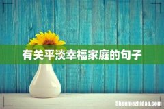 有关平淡幸福家庭的句子