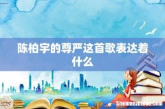 陈柏宇的尊严这首歌表达着什么