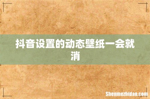 抖音设置的动态壁纸一会就消