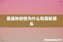悬崖孙剑悦为什么和高彬接头