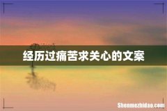 经历过痛苦求关心的文案