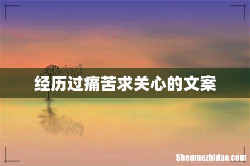 经历过痛苦求关心的文案