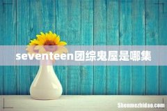 seventeen团综鬼屋是哪集