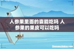 人参果里面的囊能吃吗 人参果的果皮可以吃吗