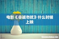 电影《非诚勿扰》什么时候上映