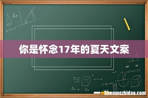 你是怀念17年的夏天文案