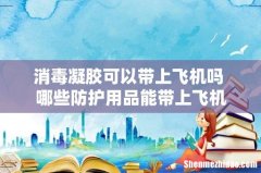 消毒凝胶可以带上飞机吗 哪些防护用品能带上飞机