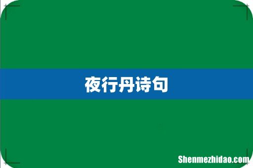 夜行丹诗句