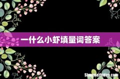 一什么小虾填量词答案
