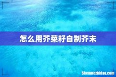 怎么用芥菜籽自制芥末