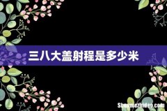 三八大盖射程是多少米