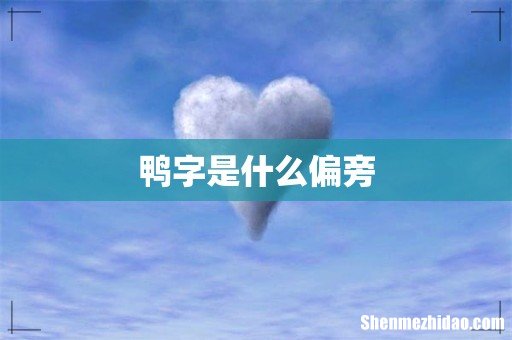 鸭字是什么偏旁