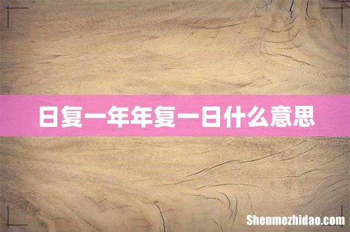 日复一年年复一日什么意思