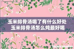 玉米排骨汤喝了有什么好处 玉米排骨汤怎么炖最好喝