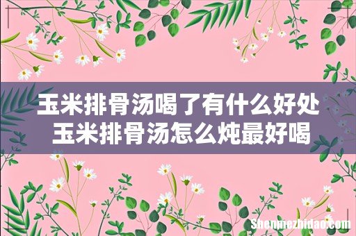 玉米排骨汤喝了有什么好处 玉米排骨汤怎么炖最好喝