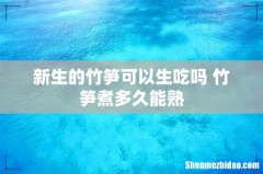 新生的竹笋可以生吃吗 竹笋煮多久能熟