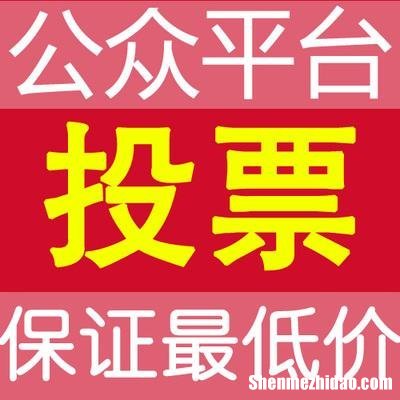 微信人工投票一千票多少钱刷票价格 确实有微信投票10元1000票,人工投票最低多少钱一票