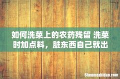 如何洗菜上的农药残留 洗菜时加点料，脏东西自己就出来了！