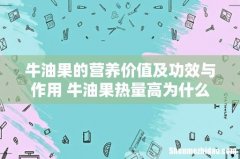 牛油果的营养价值及功效与作用 牛油果热量高为什么适合减肥期吃