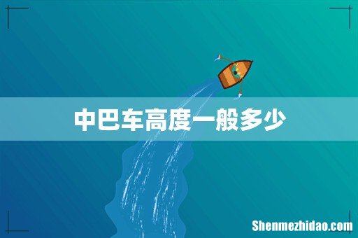 中巴车高度一般多少