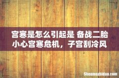 宫寒是怎么引起是 备战二胎小心宫寒危机，子宫刮冷风多吃「黑食物」