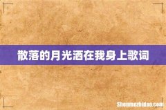 散落的月光洒在我身上歌词