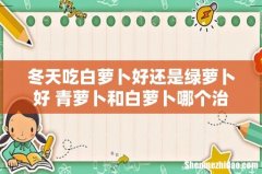 冬天吃白萝卜好还是绿萝卜好 青萝卜和白萝卜哪个治疗咳嗽