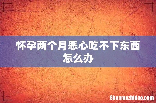 怀孕两个月恶心吃不下东西怎么办
