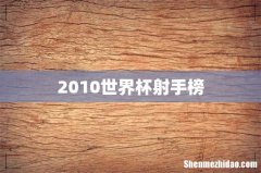 2010世界杯射手榜