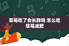 草莓吃了会长胖吗 怎么吃草莓减肥
